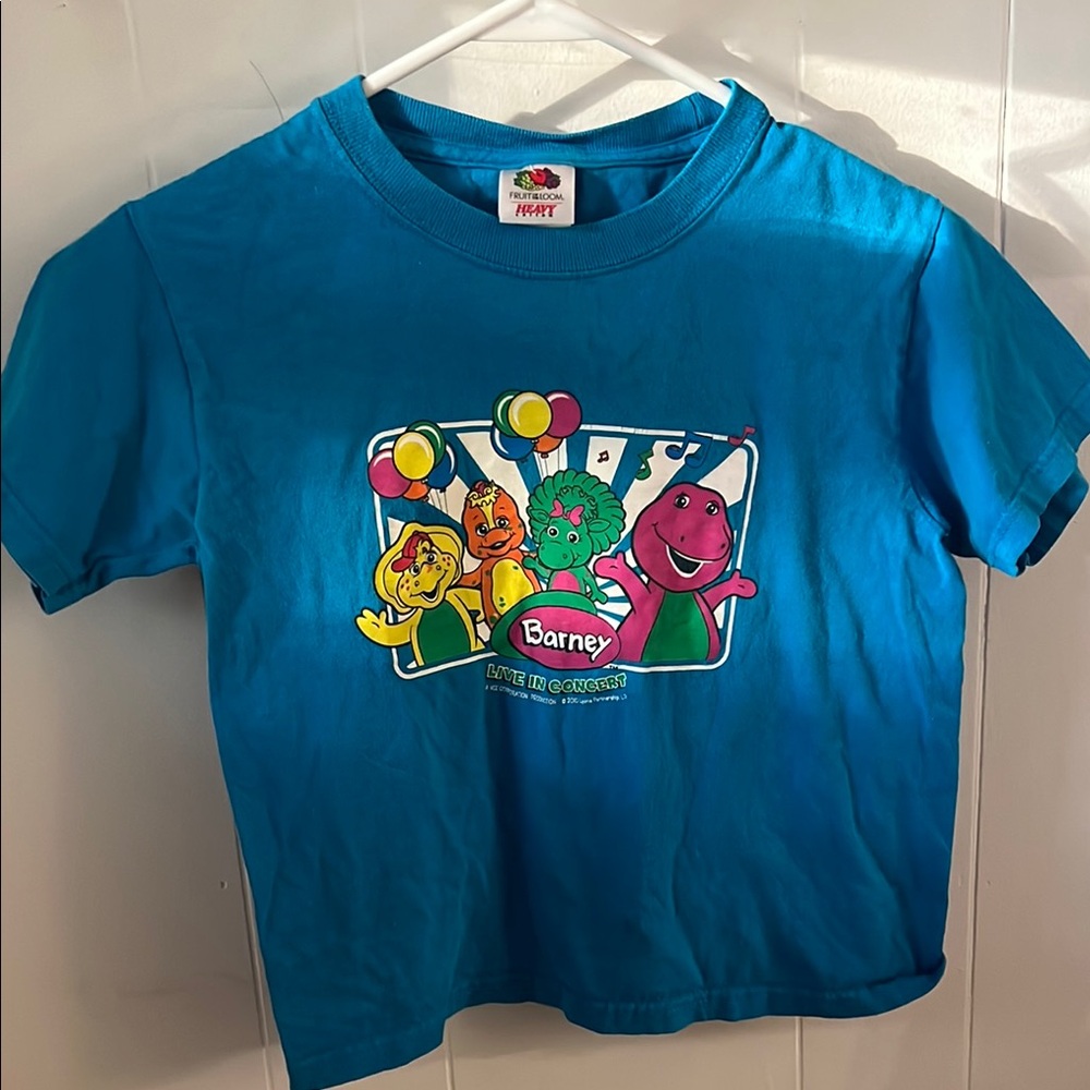 Barneys Live in Concert 2010 Youth Vintage T-shirt 6/8